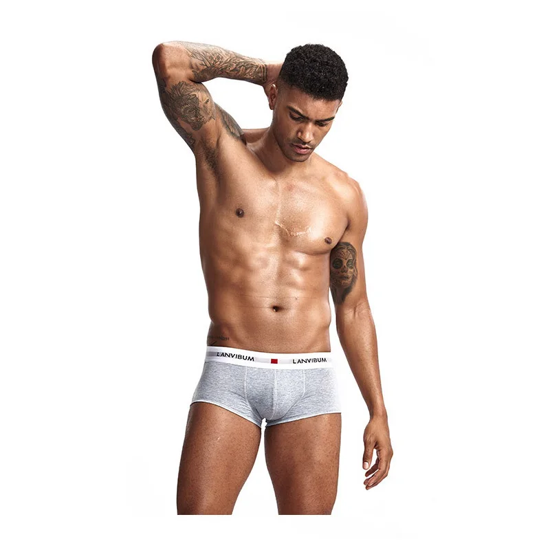 

DEWVKV 2019 Summer Men Underwear Boxers Cotton Underwear Sexy Man Panties Comfortable Breathable Underpants Male Boxer Soft LXD