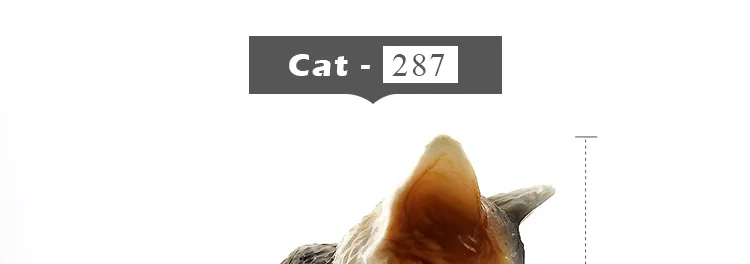 -8--MY6221_38
