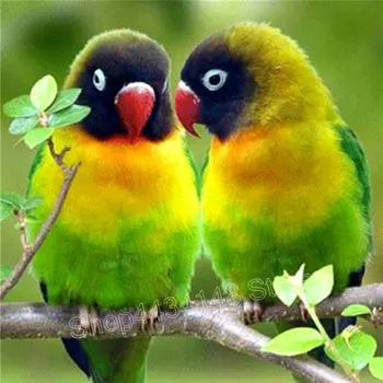 

ArtBack DIY Diamond Painting Green parrot Full round square Diamond embroidery Pattern home Decoration mosaic Painting Icon