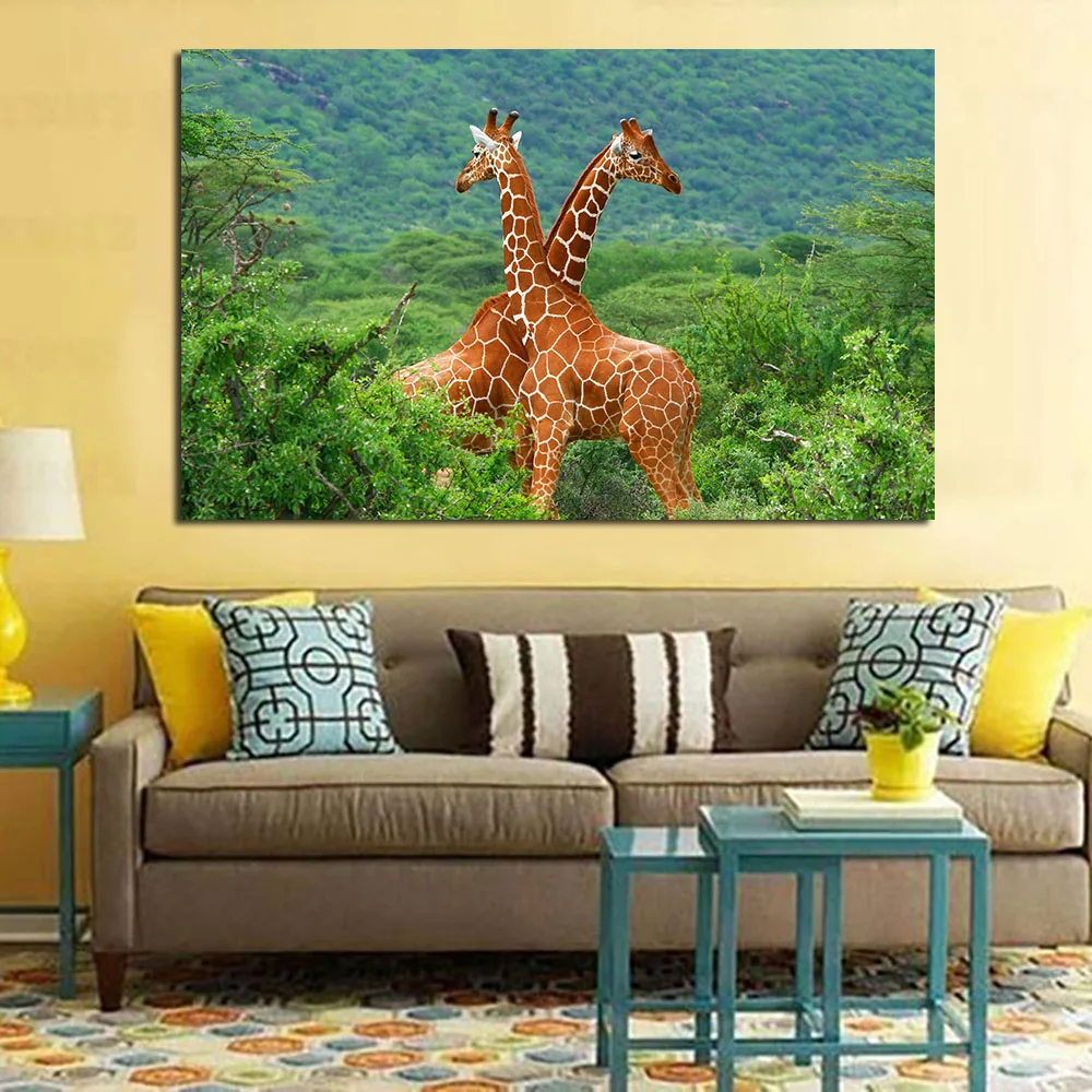 WA135Reticulated_Giraffe-4