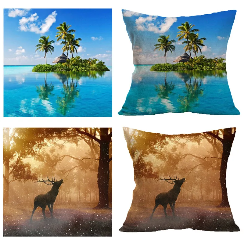 3688226959_1463551681
