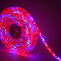 Full Spectrum LED Grow Light Strip for Enhanced Plant Growth (400cm 240leds)