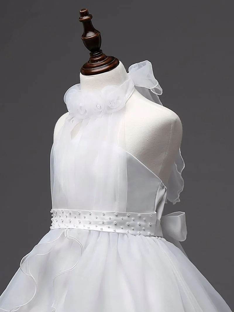 2692546364_1933995610