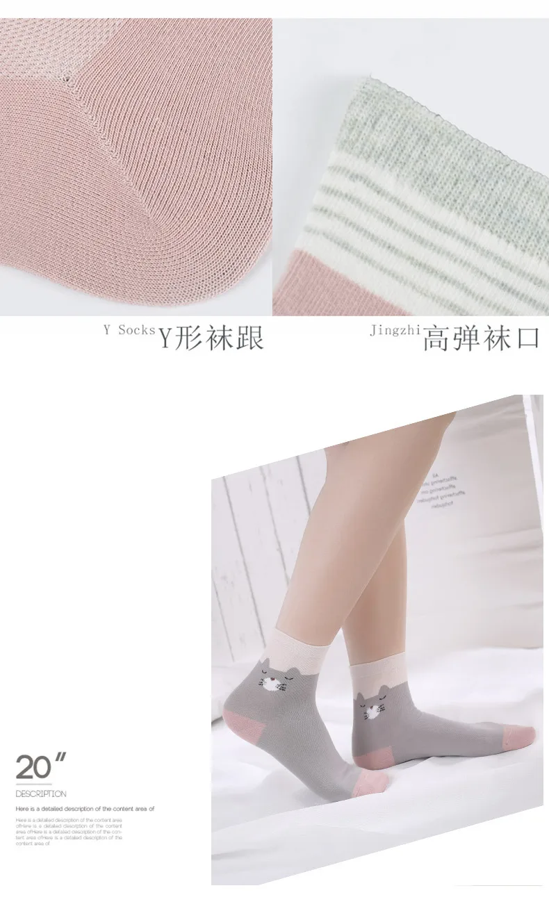 8852641087_1078105577