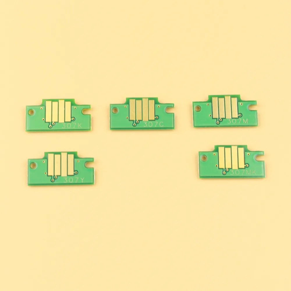 1 PFi 307 chip 06