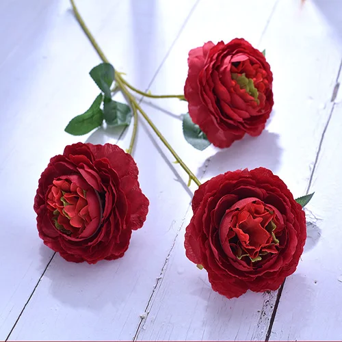 10862663351_519713817