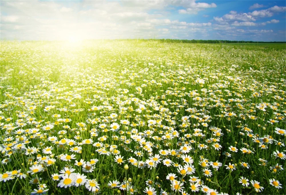 Laeacco Flower Sunshine Bokeh Baby Newborn Child Photography Backgrounds Custom Photographic Backdrops For Photo Studio | Электроника