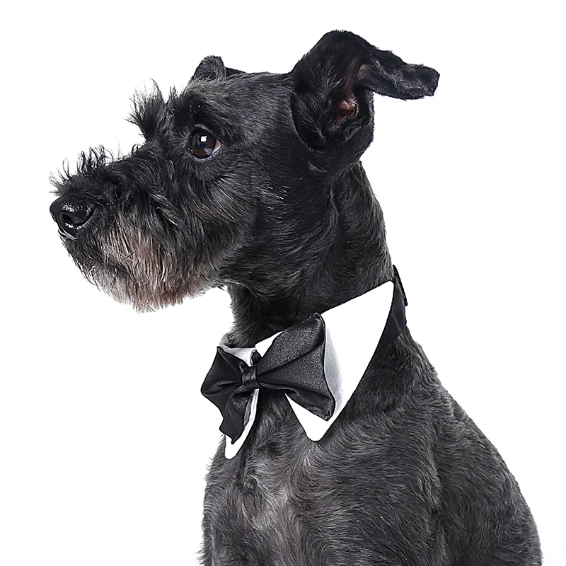Джентльменский стиль черный галстук-бабочка для домашних животных собак Свадебные Аксессуары Уход галстук-бабочка для домашних животных Регулируемый воротник вечерние галстуки
