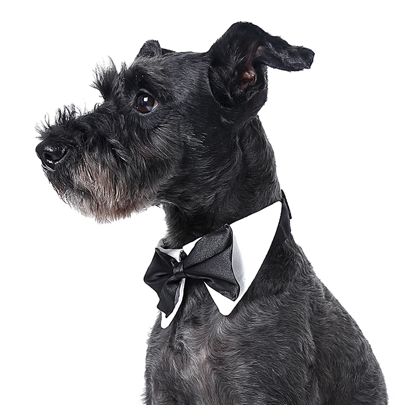 Gentleman Style Black Bow Tie for Pets Dogs Wedding Accessories