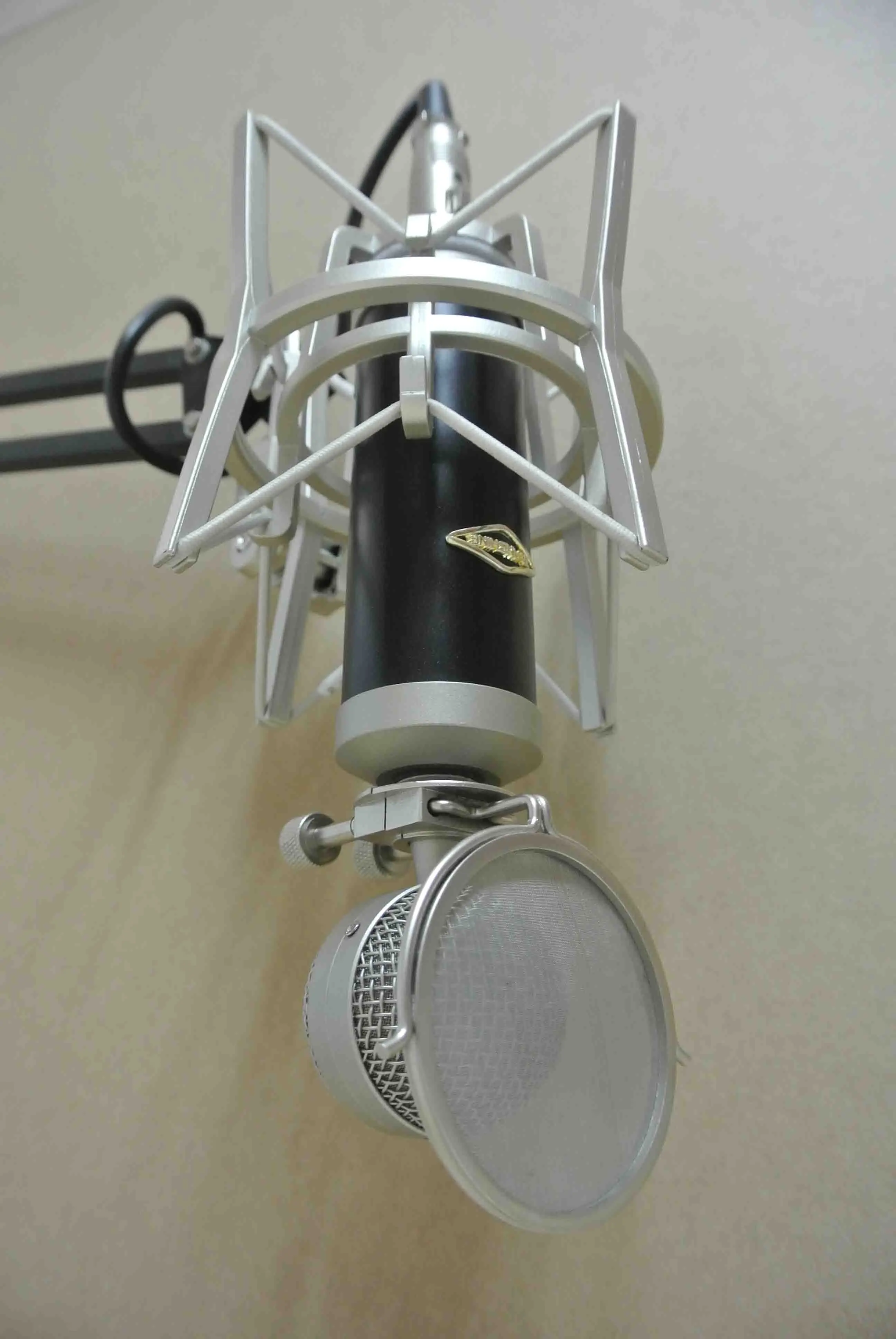 Professional condenser vocal microphone wind instruments song recording