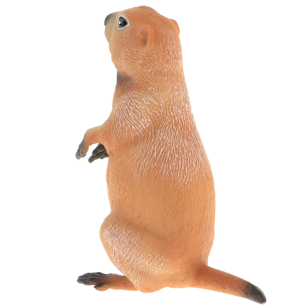 2pcs Simulation Wildlife Animal Model Figurine Kids Science & Nature Toy Collection Home Decoration Party Favors- Marmot