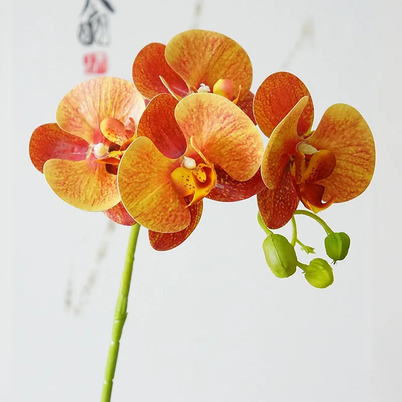 Real touch 5Heads Latex Orchids branch Artificial Flowers quality