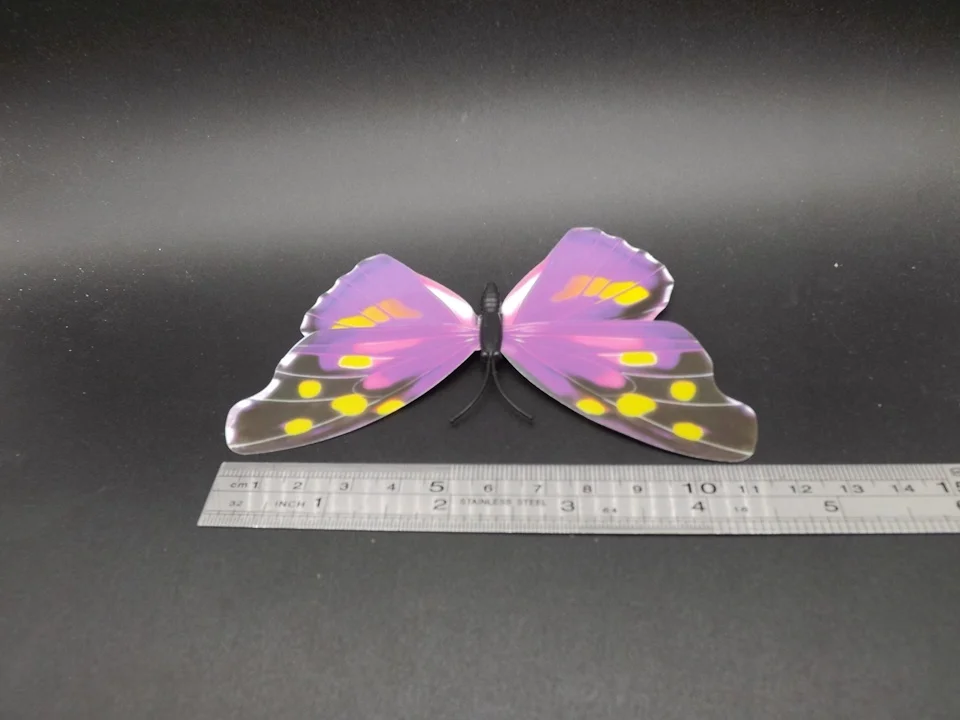 I241-Butterfly (11)