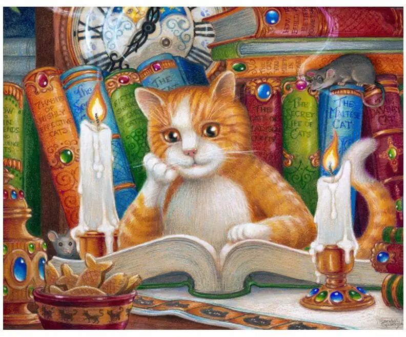 QQ截图20190531125241