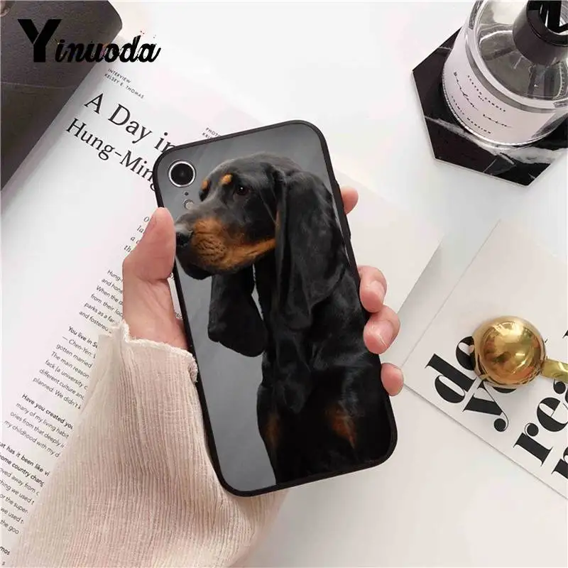 Dachshund Doberman Dog face