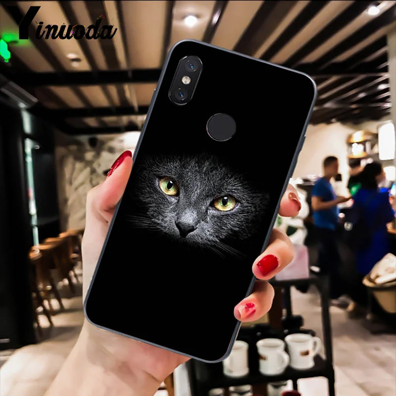 Cute Black Cat Staring Eyes 