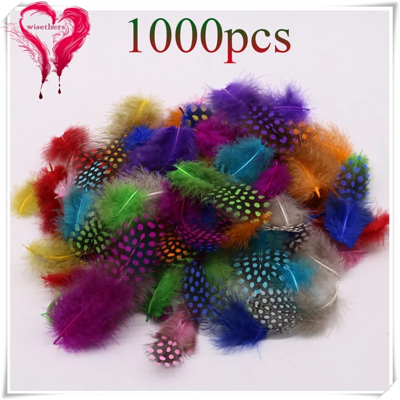 1000 multicolor guinea fowl feather 4