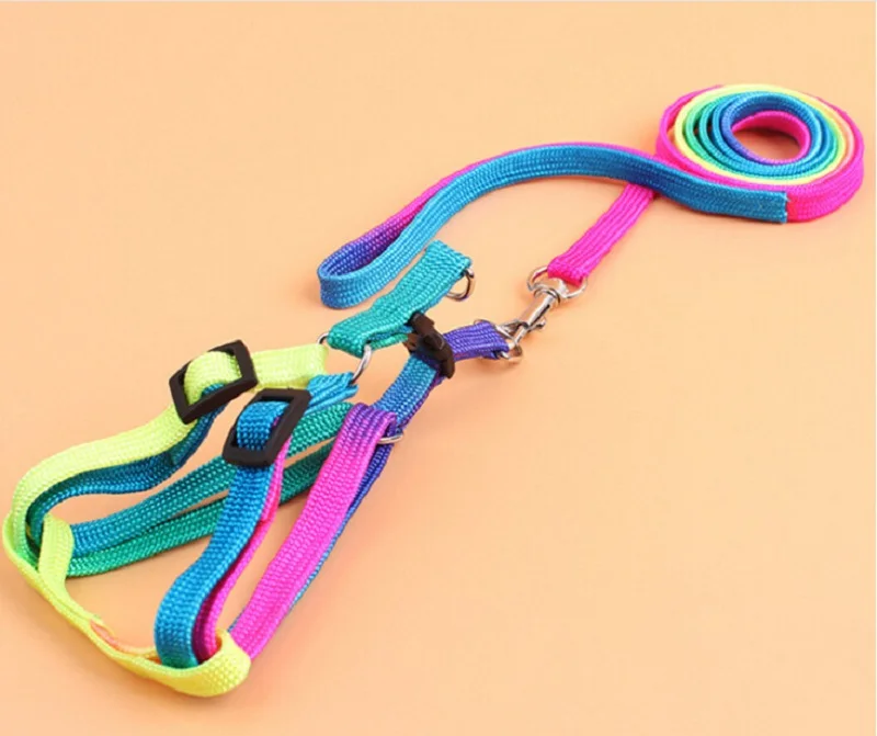 D71_Colorful_Nylon_Dog_Harness_with_leash_lead_Cheap_Rainbow_Small_Puppy_Dogs_Cats_Harness_Set_for_Yorkshire_Pet_Accessories_1