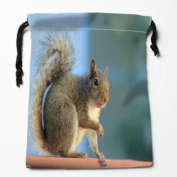 

Best Squirrel Drawstring Bags Custom Storage Printed Receive Bag Compression Type Bags Size 18X22cm Storage Bags