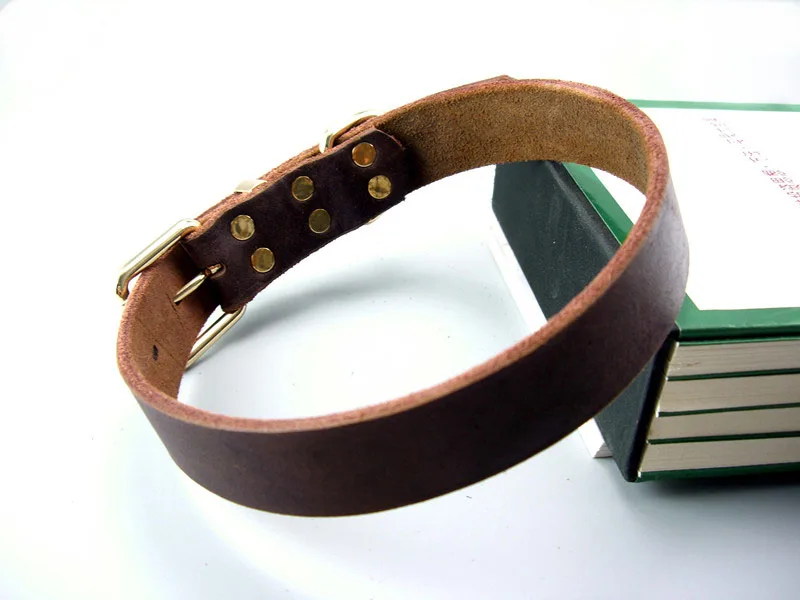 Luxury Real Leather Dog Collar Top Grade Gold Alloy Buckle Brown Leather Pet Collars for Small Medium Large Dogs New Pet Products6