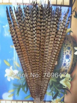 

Wholesale!NICE 100pcs/lot Natural Ringneck Pheasant Tail Feathers 55-60cm/22-24inch,feathers decoration,long feathers