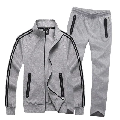 Горячая Распродажа, весенне-осенний комплект из двух предметов, мужские спортивные костюмы, полосатые толстовки на молнии+ штаны, спортивная одежда, повседневный спортивный костюм L-8XL - Цвет: Серый