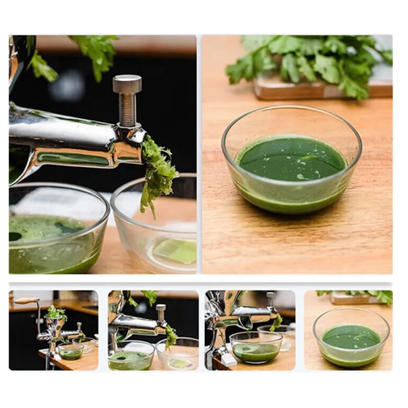 Mini manual wheat grass fruit vegetable juicer juice extractor juicing machine Mini manual wheat grass fruit vegetable juicer juice extractor juicing machine
