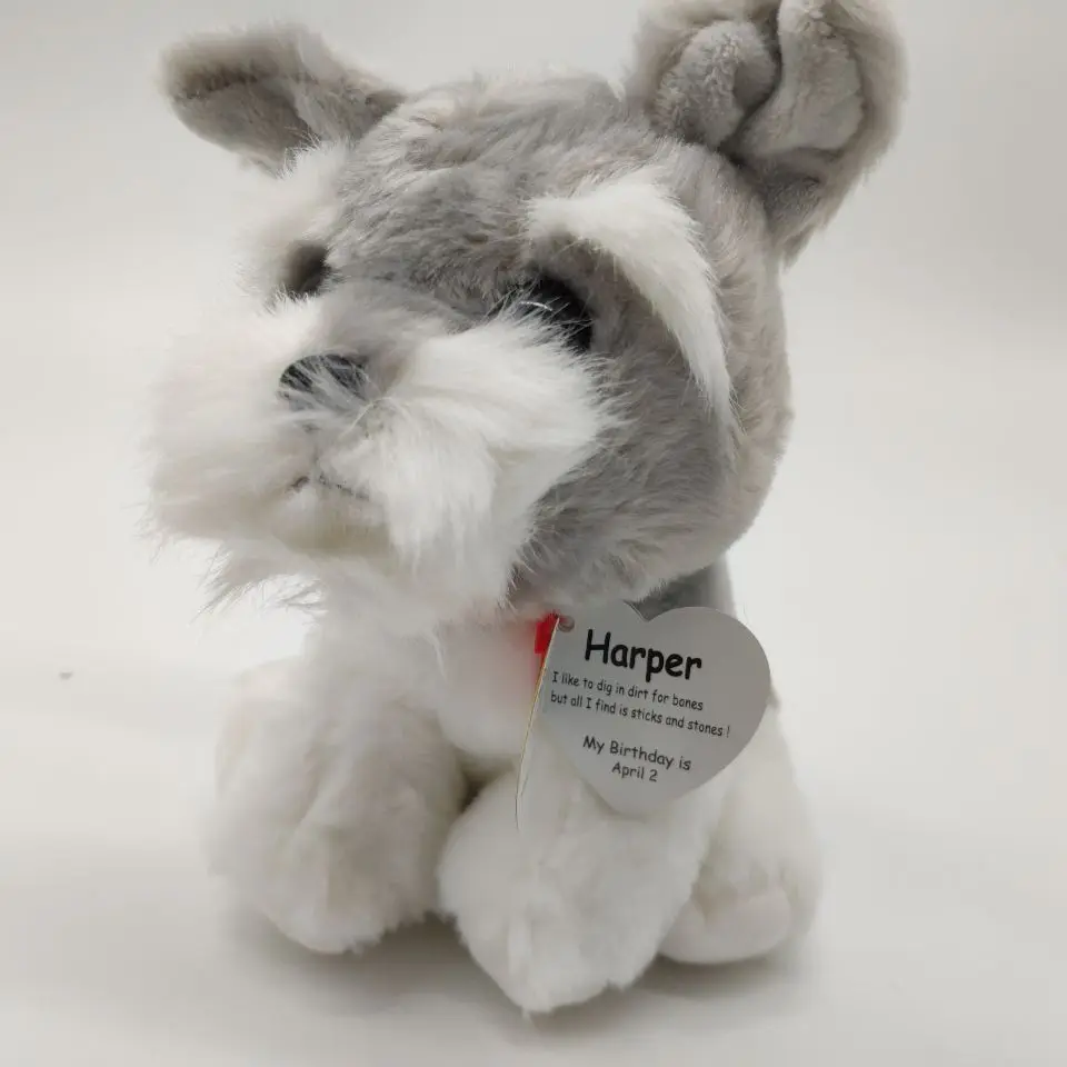 schnauzer beanie boo