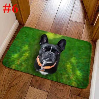 BLRISUP фланель забавные коврик у входной двери животные собака кошка печати пол ковры для гостиная спальня Нескользящие Коврики для кухни - Цвет: 6