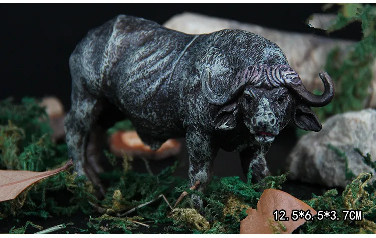 4319244752_893026222