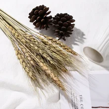 25 шт. настоящий пшеничный цветок уха натуральные сухие цветы для свадебной вечеринки украшения для самодельного изготовления скрапбукинга домашний декор пшеничный букет