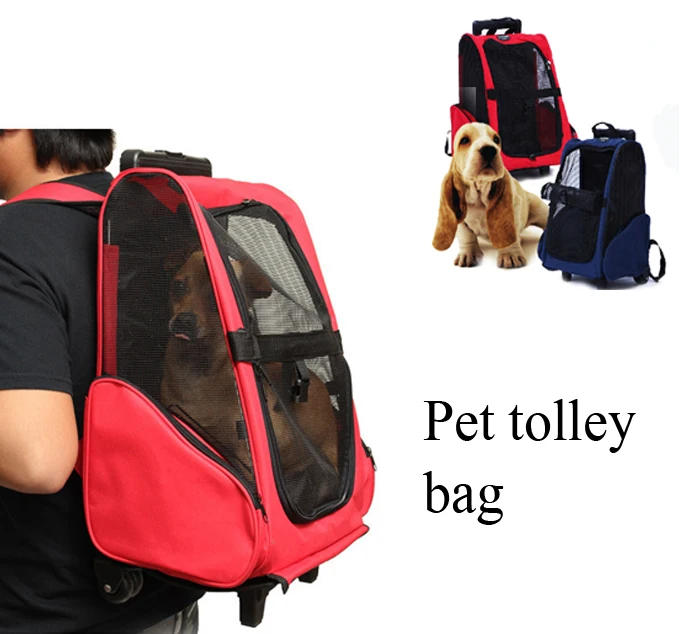 Pet Carrier Size For Cats Pet Carrier Size For Cats