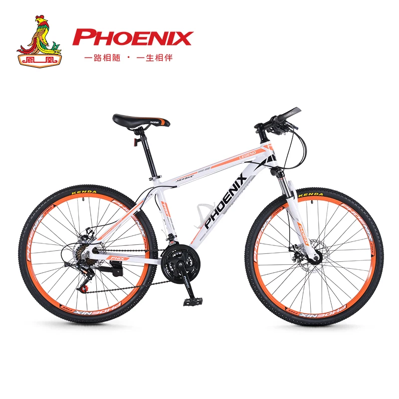 Phoenix 24\