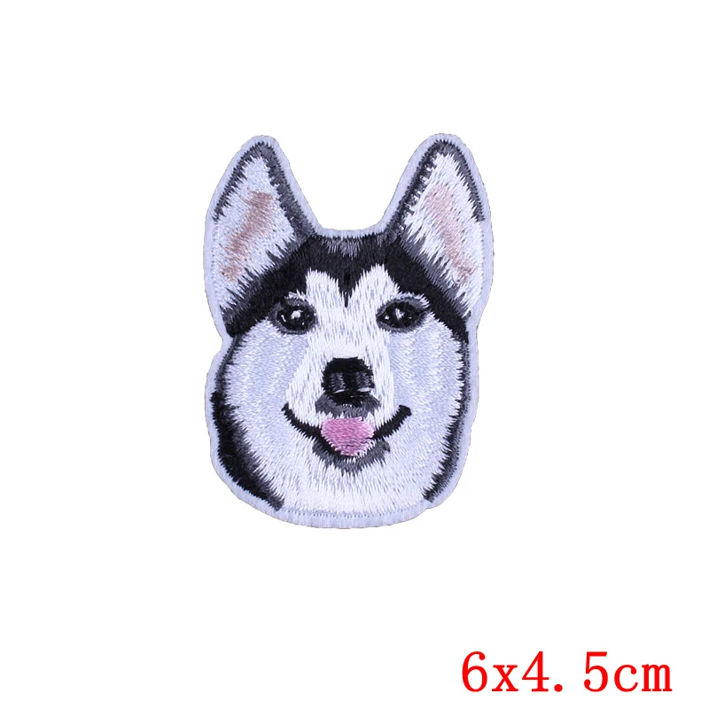 PE1726CT