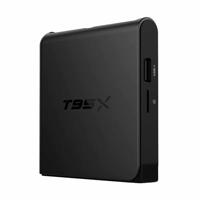 T95X 1G8G (8)