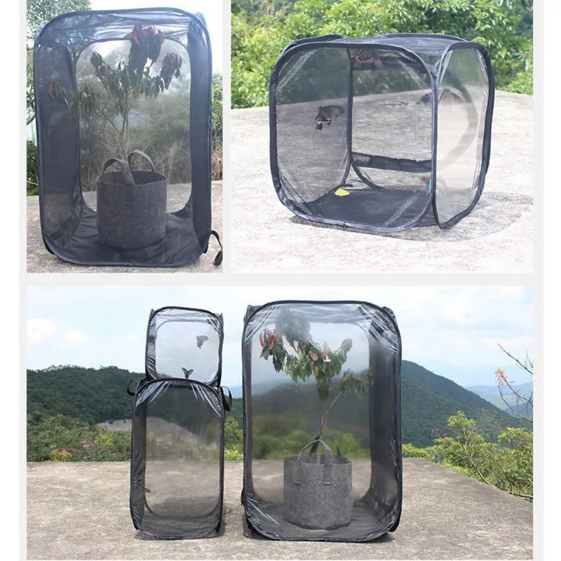 Прозрачный инкубатор для рассады растений, защита от насекомых, муравьиная ферма, Бабочка, переносная Складная Клетка для насекомых