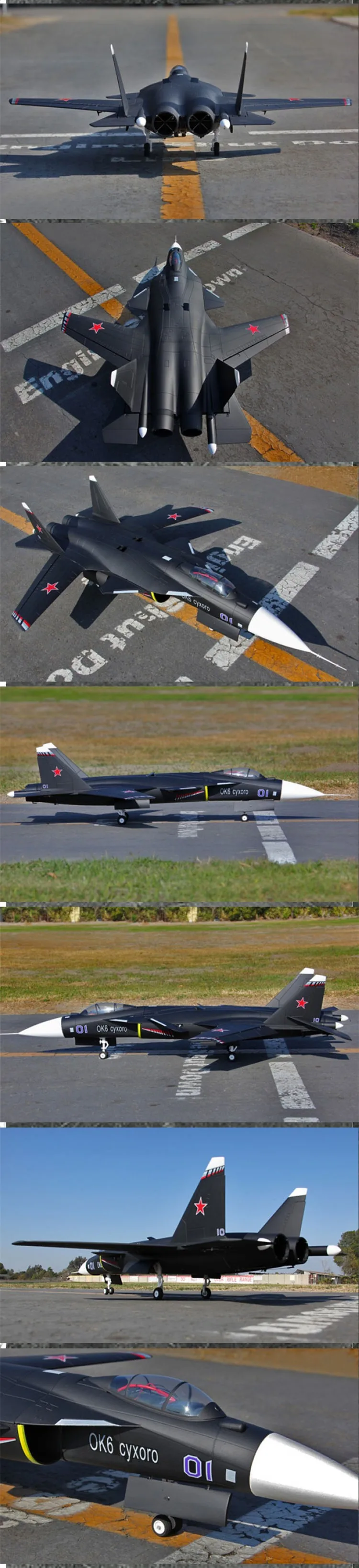 Berkut Aircraft Cost