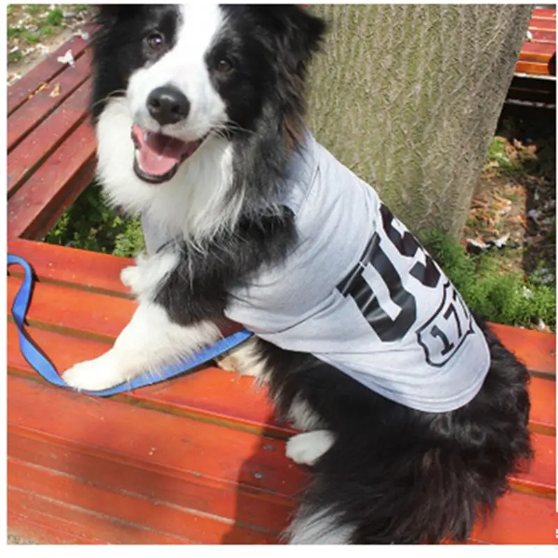 Lovd Lovf New Style USA Letters Big Dog Clothes Vest Plus Size 100