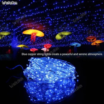 

String Solar Copper String Light Outdoor Waterproof Tube Light Low Voltage Bright LED Christmas Silver Light String CD50 W03