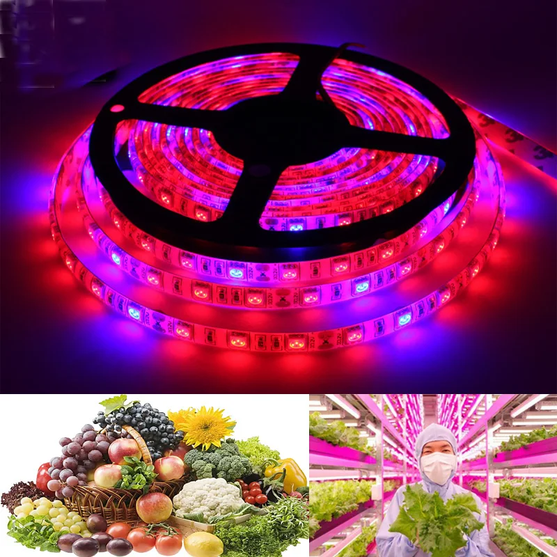 

Waterproof 300LED 5M Plant Flower Grow Light Red Blue 4:1 Flexible Lamp Strip Indoor/Outdoor Hydroponic System Drop Shipping