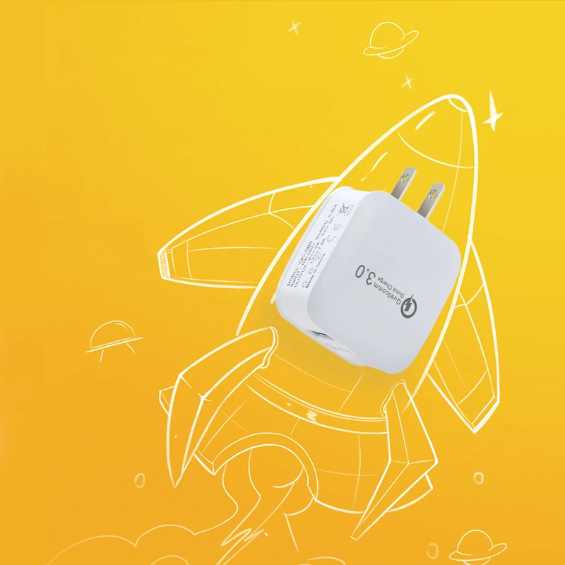 Travel AC Smart Charger Adapter