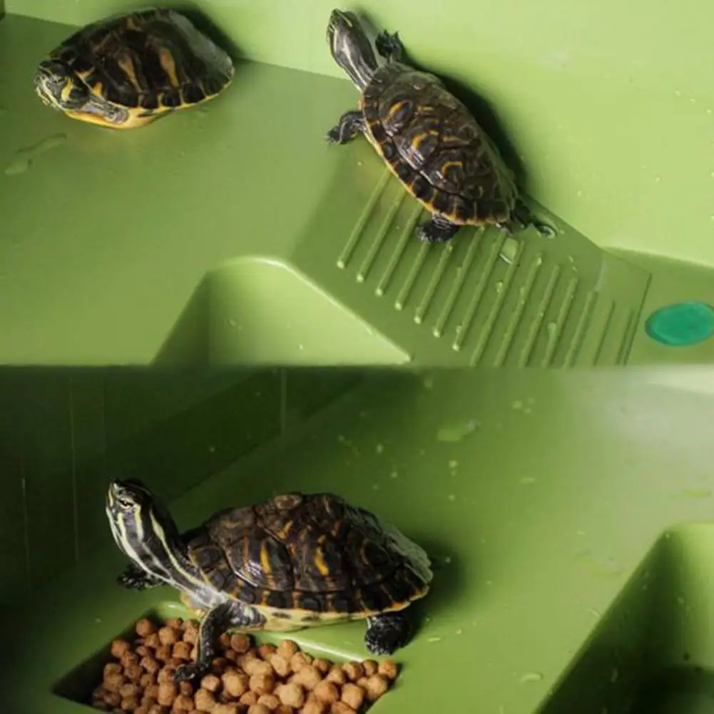 

Turtle Drying Platform Turtle Basking Platform Drying Back Platform Shelter Cave With Trough For Tortoise