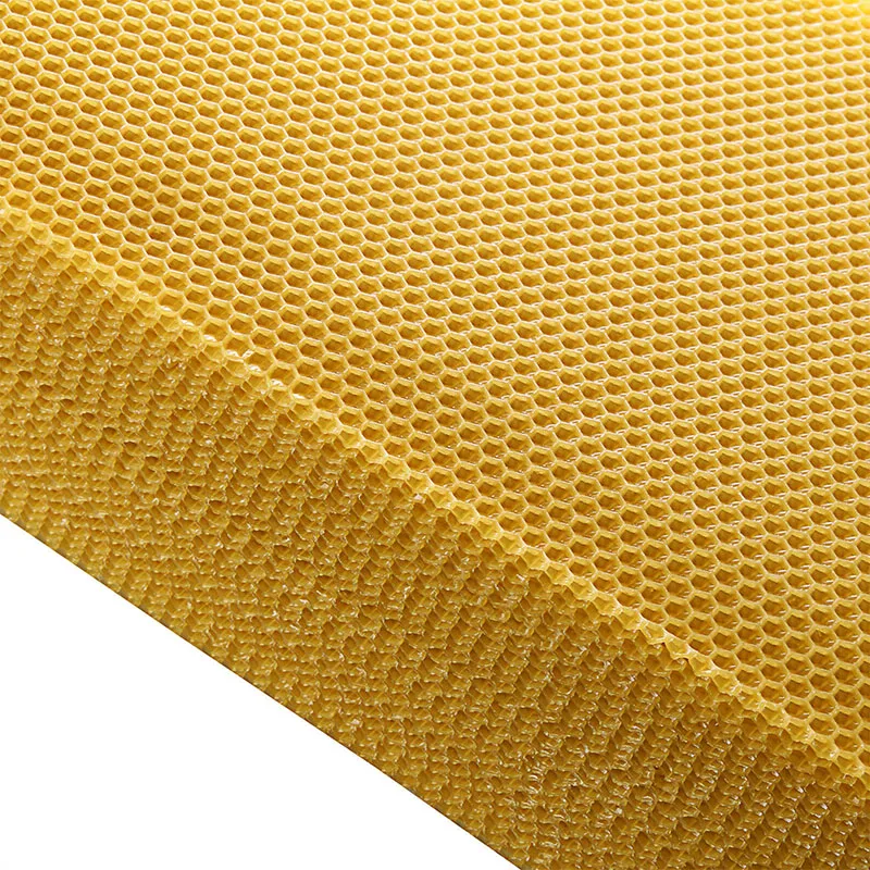 10 шт. 200*415 мм пластиковая расческа основа соты пчеловодство инструмент оборудование качество пчелиная ферма инструмент