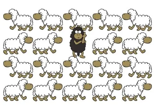 Черная Овечка Настольная Игра Купить