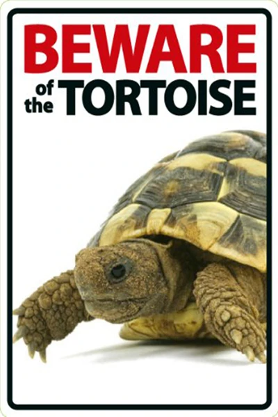 Beware of The Rabbit Plaque Vintage Metal Tin Signs Home Bar Pub Office Decorative Plate Rat Wall Sticker Garden Art Poster MN11 N