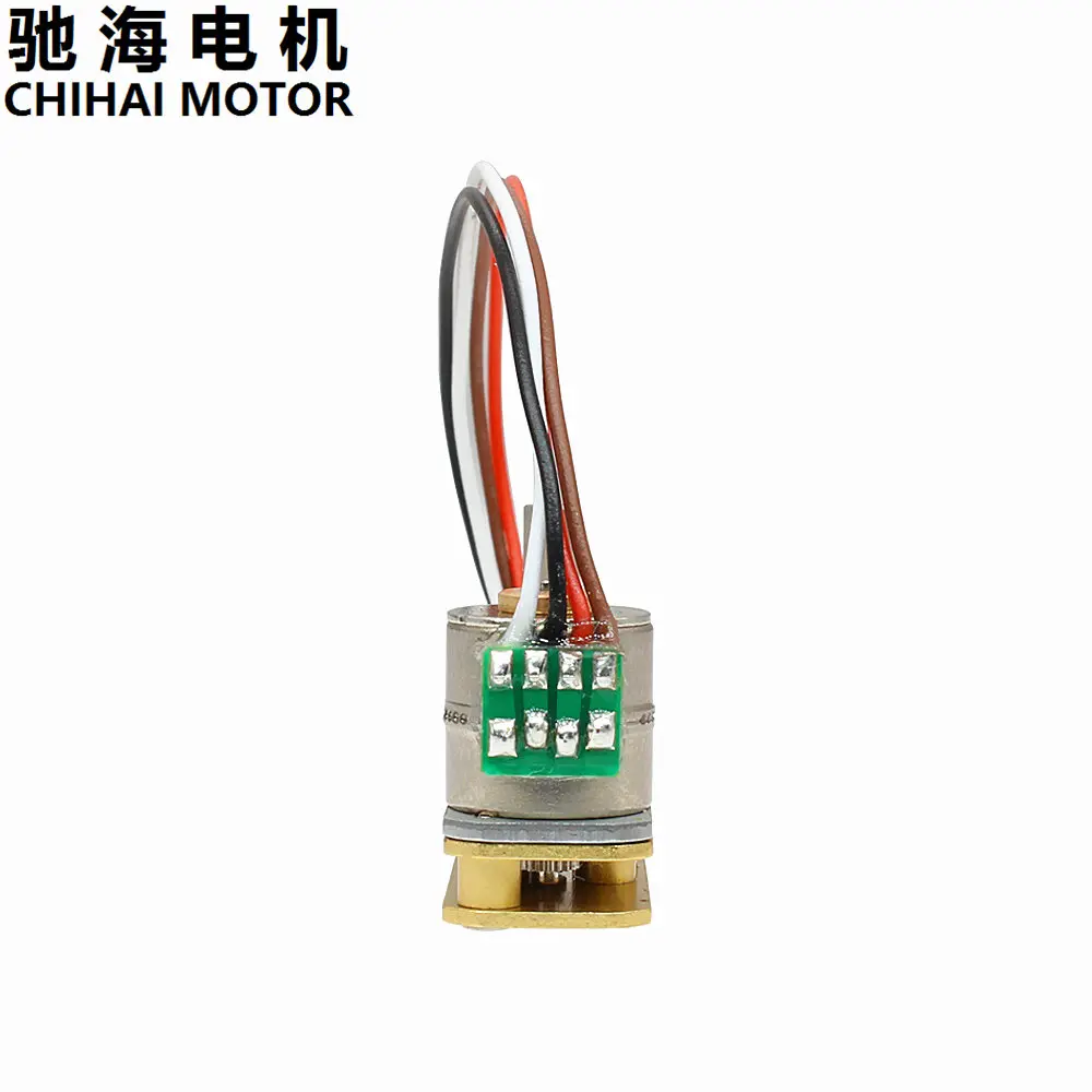 ChiHai двигатель CHS-GM1024-10BY 2 фазы 4 провода шаговый мотор-редуктор 39 Ом DC 12,0 V соотношение 500 200 50