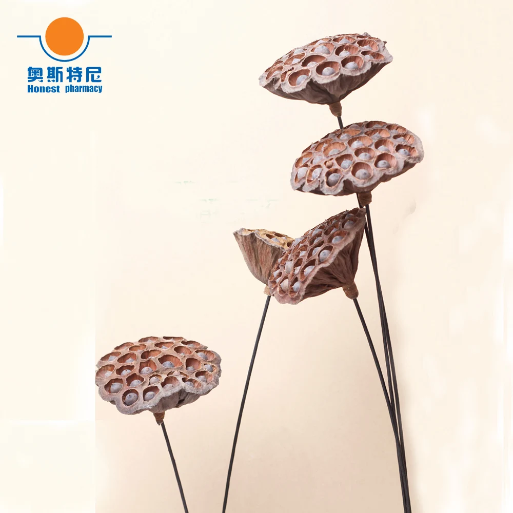 

5pcs dried naturally flower bouquets big size naturally dired lotus seedpod&seedpod of the lotus with seed