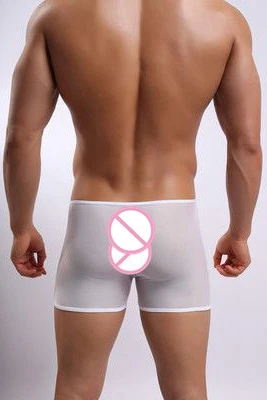 New-Sexy-Transparent-Boxer-Men-See-Through-Sheer-Black-Lingerie-Unisex-Thin-Pantyhose-Underwear-Boxer-Trunks