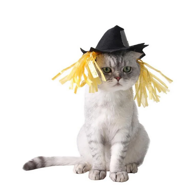 Hoomall изделия для кошек и щенков шляпа Вечерние наряды кепки костюм для вечеринки головной убор шляпа для собак Одежда для домашних животных Хэллоуин ПЭТ костюмы шляпы