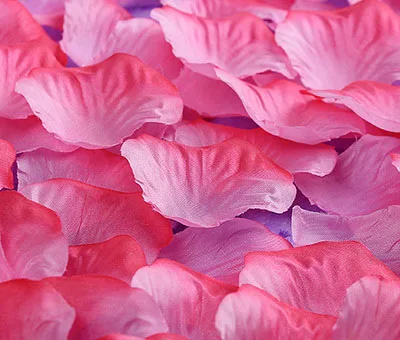 1000 лепестки роз Свадебные украшения Искусственные цветы Цветочные украшения из шелка Декоративные цветы и венки - Цвет: 12